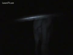 A stallion is shown slipping into the pen and getting banged by a donkey in hidden webcam footage.
